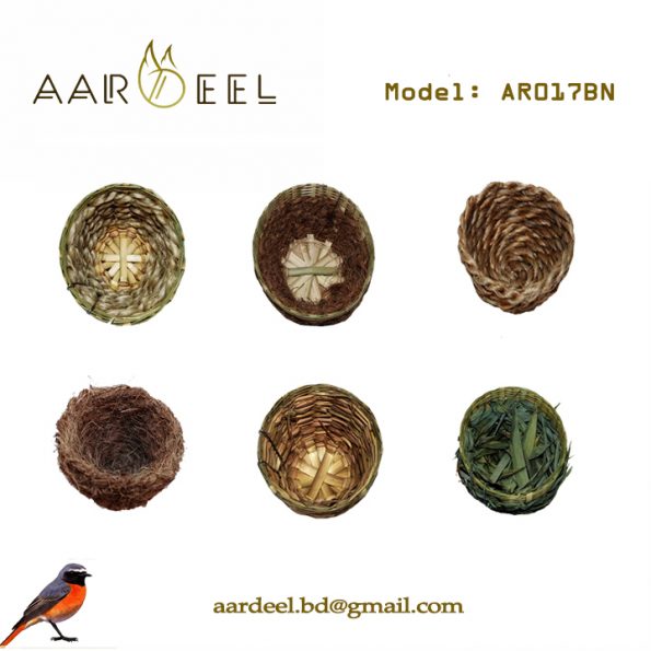 AR018BN 1